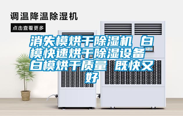 消失模烘干除濕機(jī) 白?？焖俸娓沙凉裨O(shè)備 白模烘干質(zhì)量 既快又好