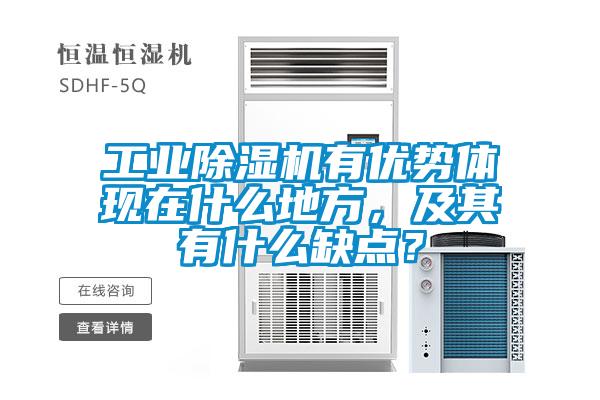 工業(yè)除濕機(jī)有優(yōu)勢體現(xiàn)在什么地方，及其有什么缺點(diǎn)？