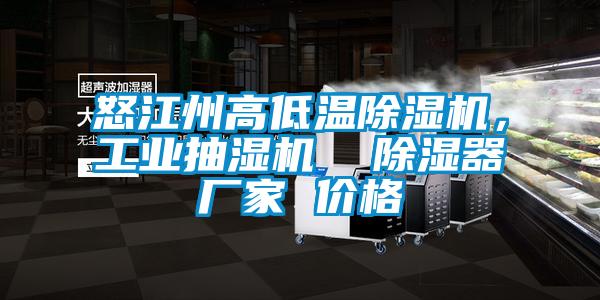 怒江州高低溫除濕機，工業(yè)抽濕機  除濕器廠家 價格
