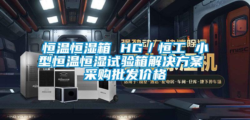 恒溫恒濕箱 HG／恒工 小型恒溫恒濕試驗箱解決方案 采購批發(fā)價格