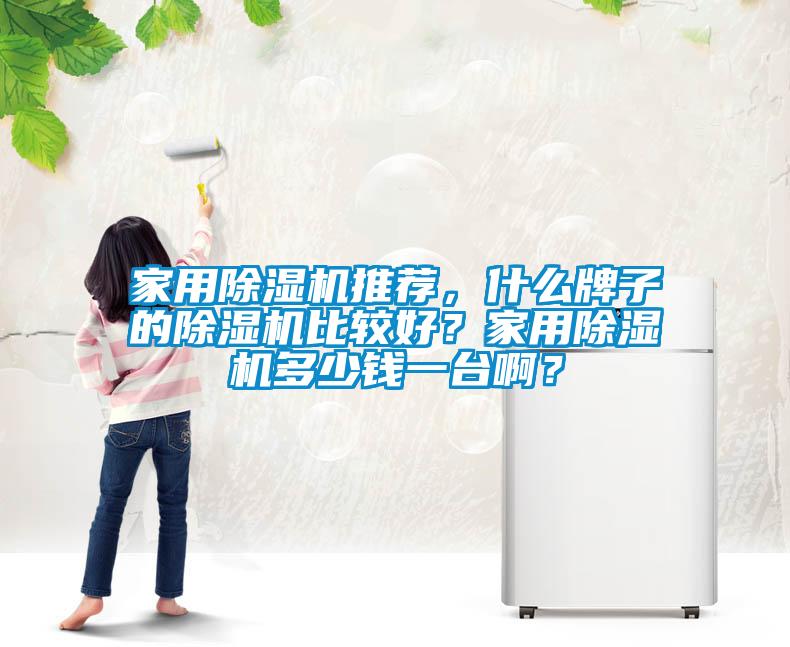 家用除濕機推薦，什么牌子的除濕機比較好？家用除濕機多少錢一臺?。?/></p>
<p style=