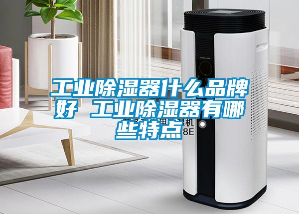 工業(yè)除濕器什么品牌好 工業(yè)除濕器有哪些特點