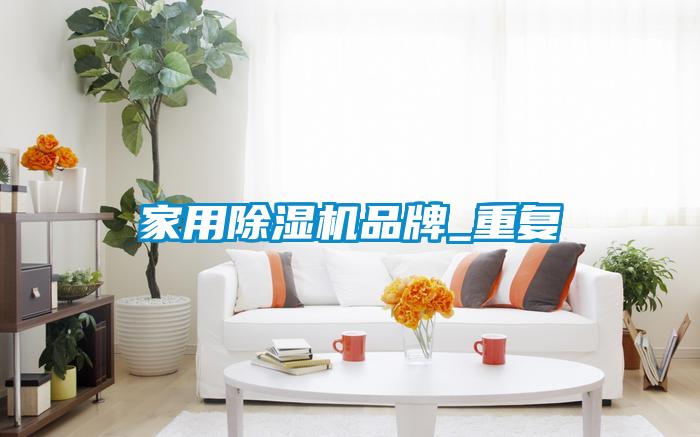 家用除濕機(jī)品牌_重復(fù)