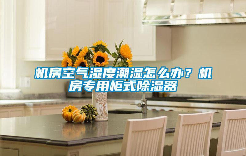 機(jī)房空氣濕度潮濕怎么辦？機(jī)房專(zhuān)用柜式除濕器