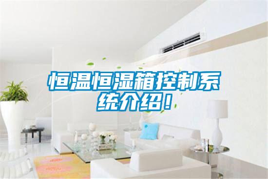 恒溫恒濕箱控制系統(tǒng)介紹！