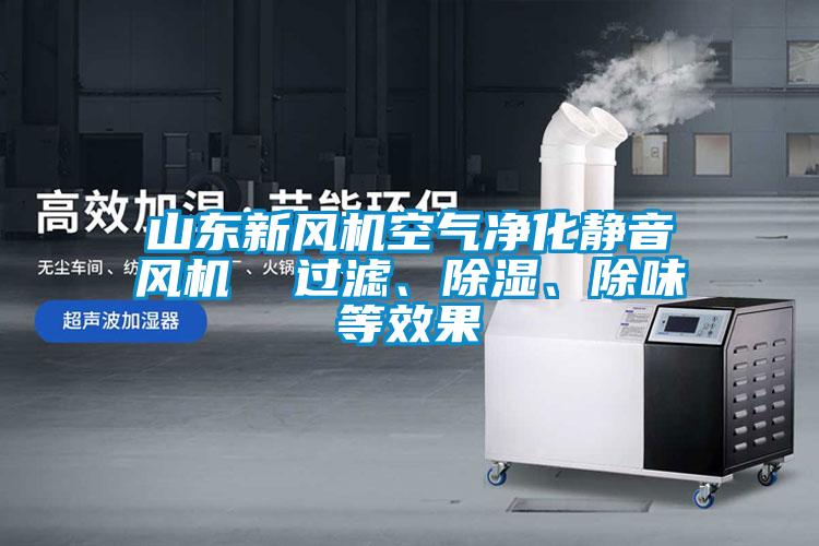 山東新風(fēng)機(jī)空氣凈化靜音風(fēng)機(jī)  過(guò)濾、除濕、除味等效果