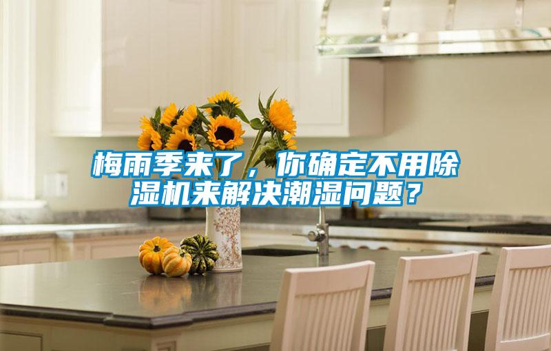 梅雨季來了，你確定不用除濕機來解決潮濕問題？
