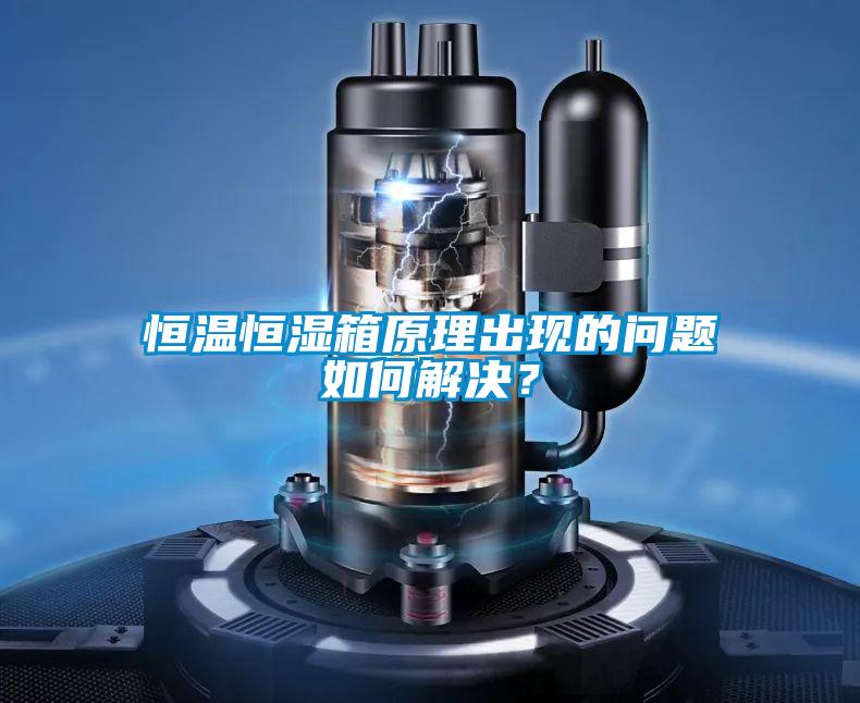 恒溫恒濕箱原理出現(xiàn)的問題如何解決？