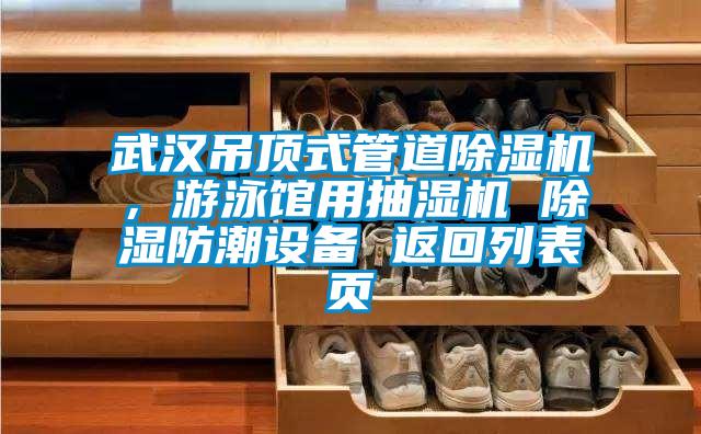 武漢吊頂式管道除濕機(jī)，游泳館用抽濕機(jī) 除濕防潮設(shè)備 返回列表頁(yè)