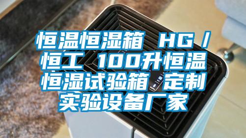 恒溫恒濕箱 HG／恒工 100升恒溫恒濕試驗(yàn)箱 定制實(shí)驗(yàn)設(shè)備廠(chǎng)家