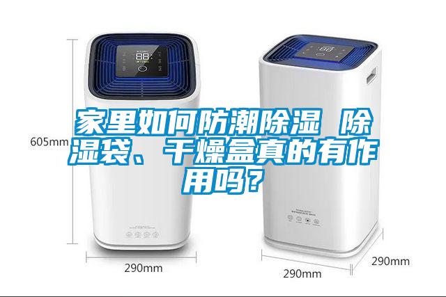 家里如何防潮除濕 除濕袋、干燥盒真的有作用嗎？