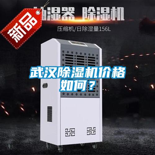 武漢除濕機(jī)價(jià)格如何？