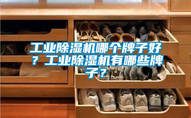 工業(yè)除濕機(jī)哪個(gè)牌子好？工業(yè)除濕機(jī)有哪些牌子？