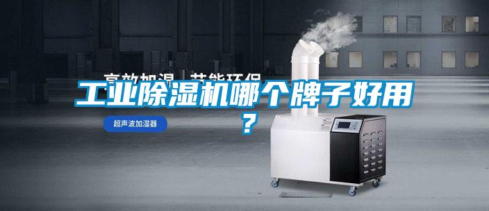 工業(yè)除濕機哪個牌子好用？
