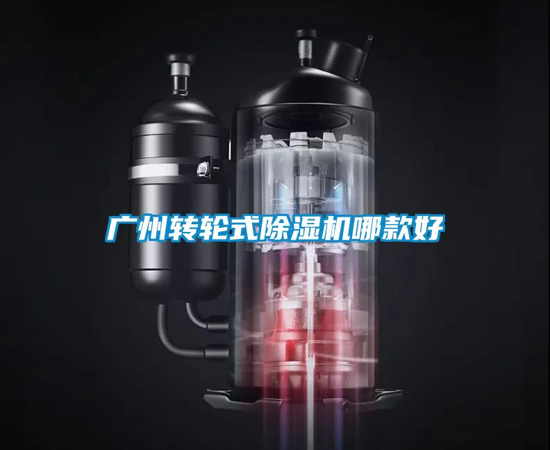 廣州轉(zhuǎn)輪式除濕機(jī)哪款好