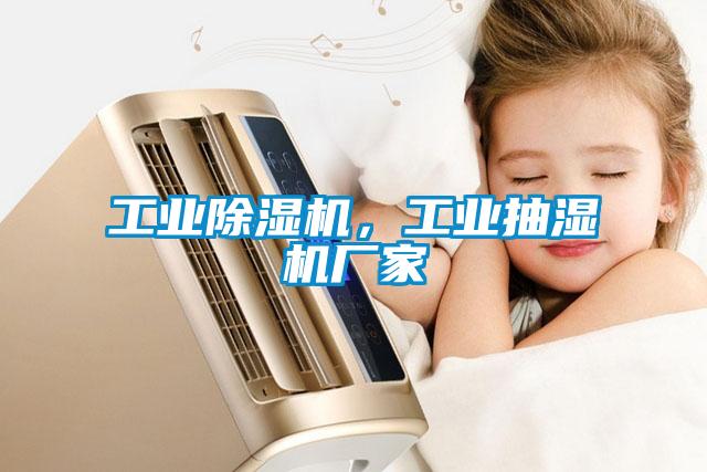 工業(yè)除濕機，工業(yè)抽濕機廠家
