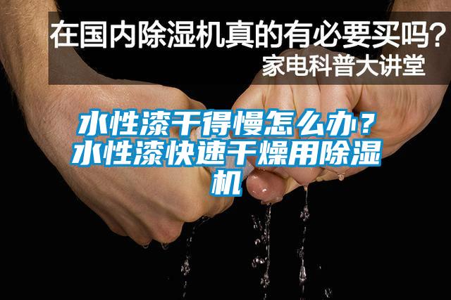 水性漆干得慢怎么辦？水性漆快速干燥用除濕機(jī)