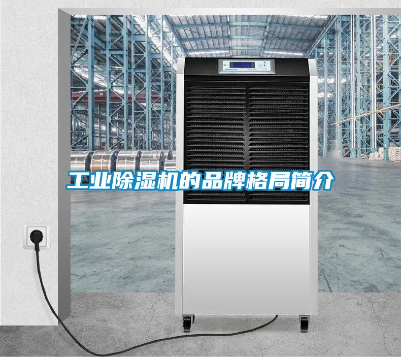 工業(yè)除濕機的品牌格局簡介