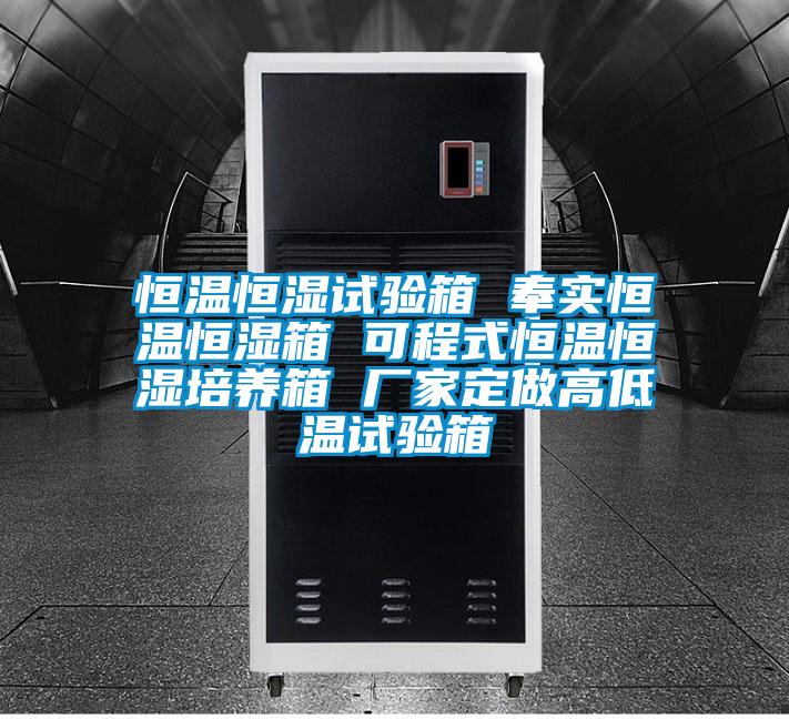 恒溫恒濕試驗(yàn)箱 奉實(shí)恒溫恒濕箱 可程式恒溫恒濕培養(yǎng)箱 廠家定做高低溫試驗(yàn)箱