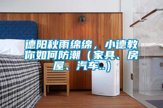 德陽(yáng)秋雨綿綿，小德教你如何防潮（家具、房屋、汽車..）