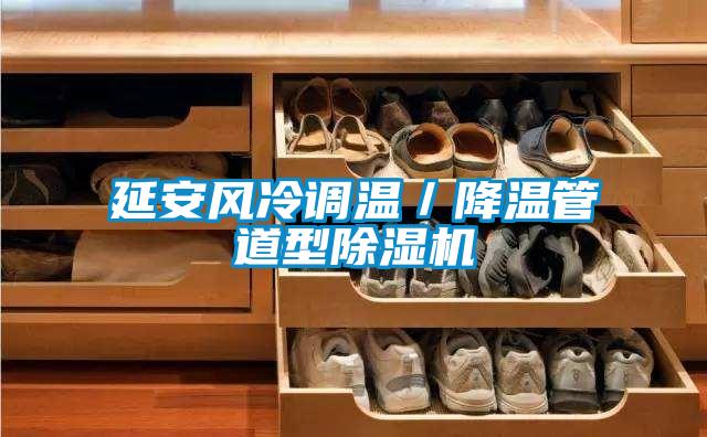 延安風(fēng)冷調(diào)溫／降溫管道型除濕機