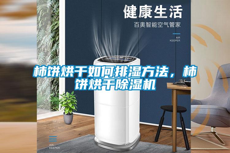 柿餅烘干如何排濕方法，柿餅烘干除濕機(jī)