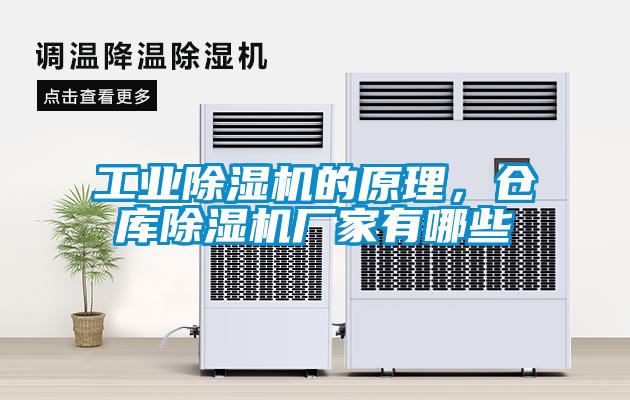 工業(yè)除濕機(jī)的原理，倉(cāng)庫(kù)除濕機(jī)廠家有哪些