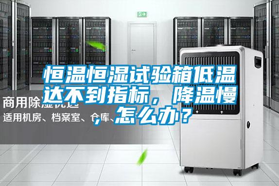 恒溫恒濕試驗(yàn)箱低溫達(dá)不到指標(biāo)，降溫慢，怎么辦？
