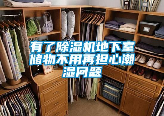 有了除濕機(jī)地下室儲(chǔ)物不用再擔(dān)心潮濕問題