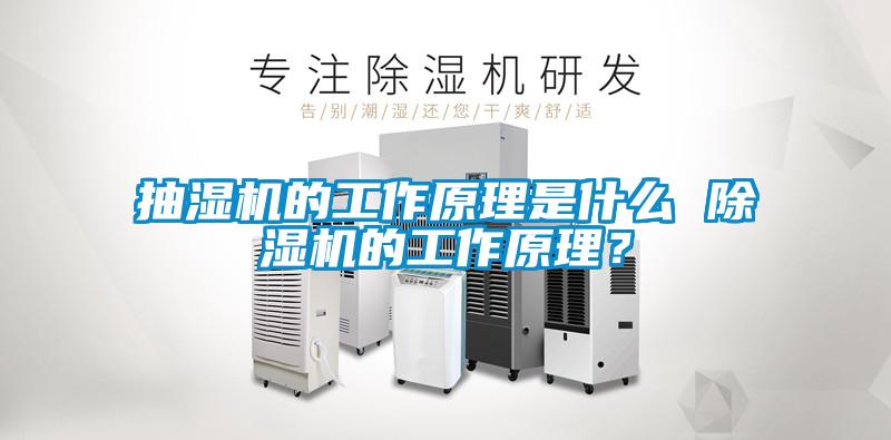抽濕機的工作原理是什么 除濕機的工作原理？