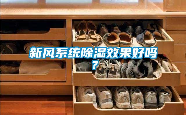 新風(fēng)系統(tǒng)除濕效果好嗎？