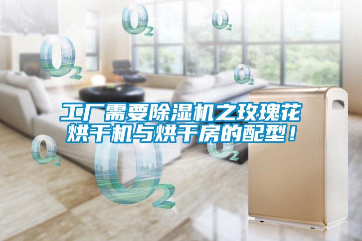 工廠需要除濕機(jī)之玫瑰花烘干機(jī)與烘干房的配型！