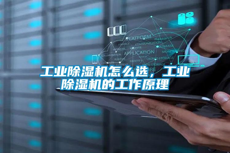 工業(yè)除濕機怎么選，工業(yè)除濕機的工作原理