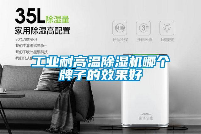 工業(yè)耐高溫除濕機哪個牌子的效果好