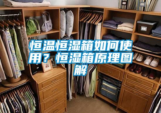 恒溫恒濕箱如何使用？恒濕箱原理圖解