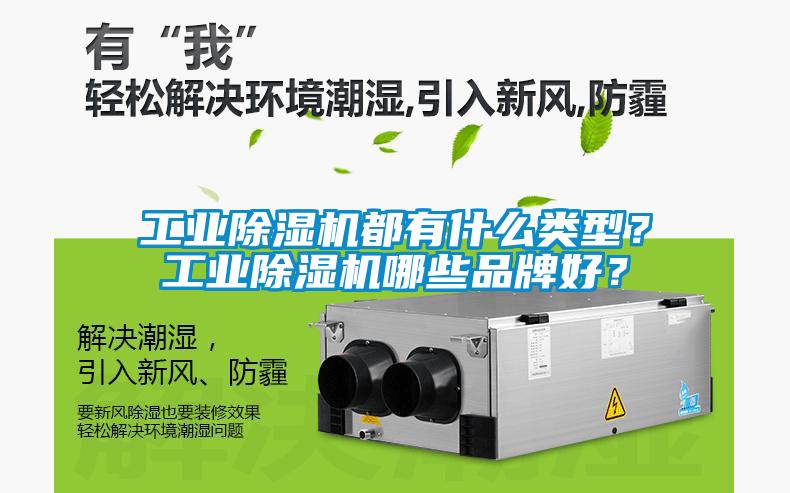 工業(yè)除濕機(jī)都有什么類型？工業(yè)除濕機(jī)哪些品牌好？