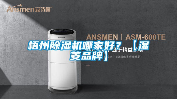 梧州除濕機哪家好？【濕菱品牌】