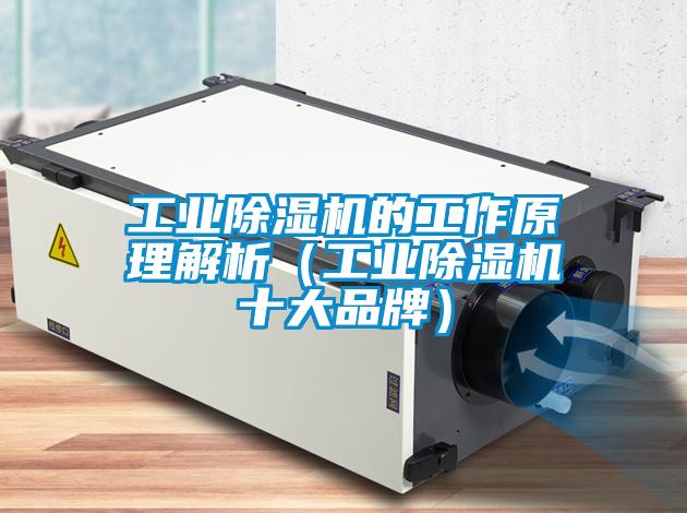 工業(yè)除濕機的工作原理解析（工業(yè)除濕機十大品牌）