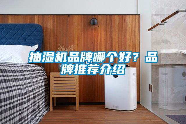 抽濕機品牌哪個好？品牌推薦介紹
