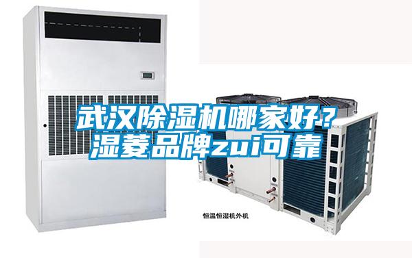 武漢除濕機(jī)哪家好？濕菱品牌zui可靠