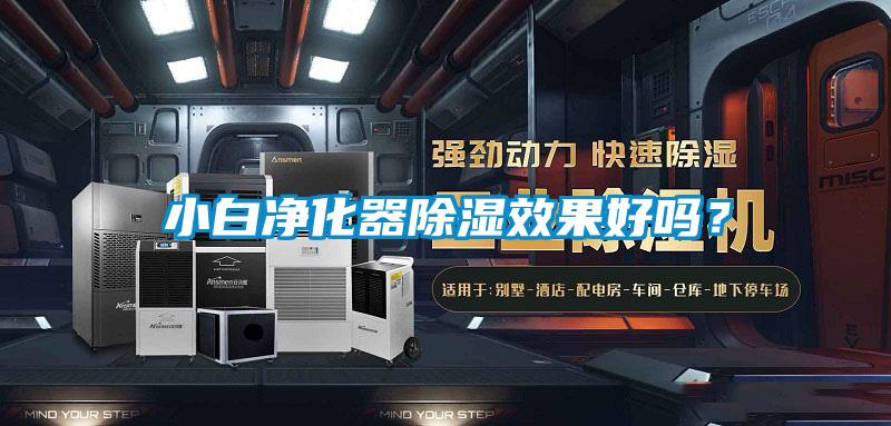 小白凈化器除濕效果好嗎？
