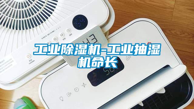 工業(yè)除濕機-工業(yè)抽濕機命長