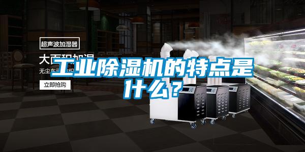 工業(yè)除濕機的特點是什么？