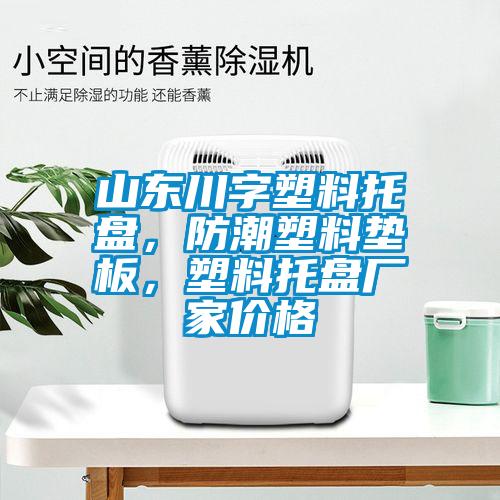 山東川字塑料托盤，防潮塑料墊板，塑料托盤廠家價(jià)格