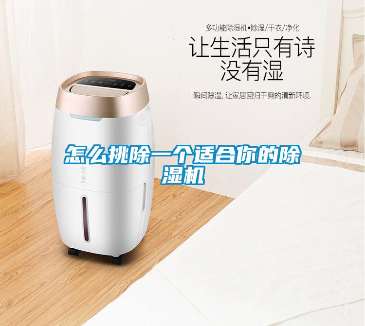 怎么挑除一個(gè)適合你的除濕機(jī)