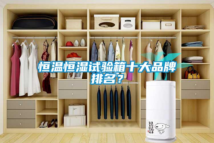 恒溫恒濕試驗箱十大品牌排名？