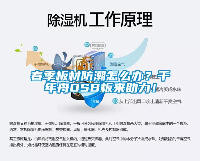 春季板材防潮怎么辦？千年舟OSB板來助力！