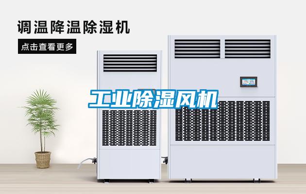 工業(yè)除濕風(fēng)機(jī)