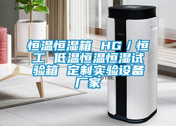 恒溫恒濕箱 HG／恒工 低溫恒溫恒濕試驗(yàn)箱 定制實(shí)驗(yàn)設(shè)備廠家
