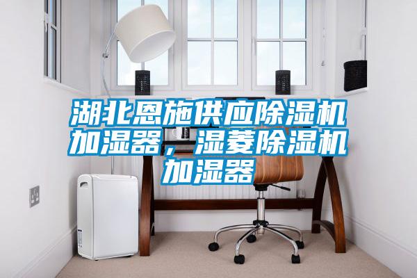 湖北恩施供應(yīng)除濕機(jī)加濕器，濕菱除濕機(jī)加濕器